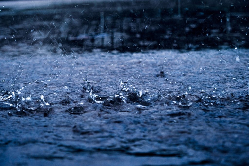 Opsamling af regnvand